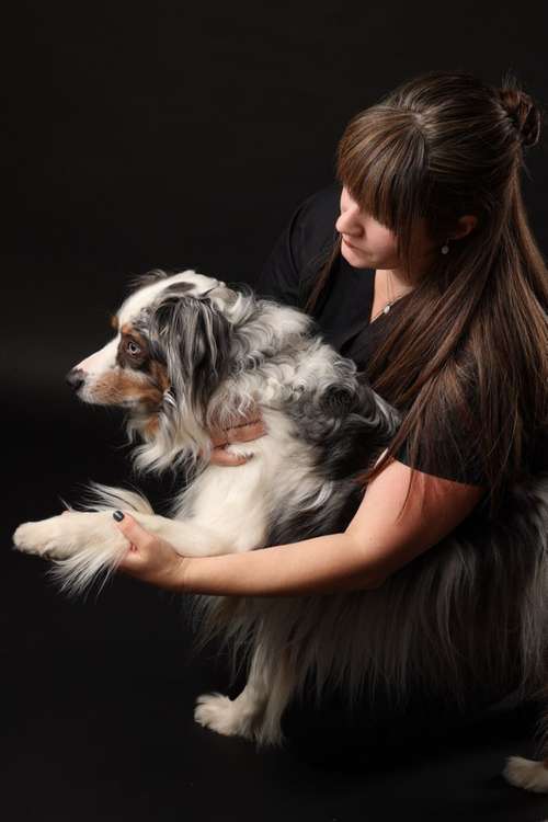 Hundeauslaufgebiet-Tierwellnesstherapie -Bild