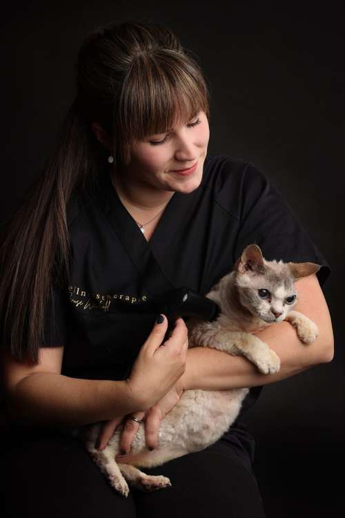 Hundeauslaufgebiet-Tierwellnesstherapie -Bild