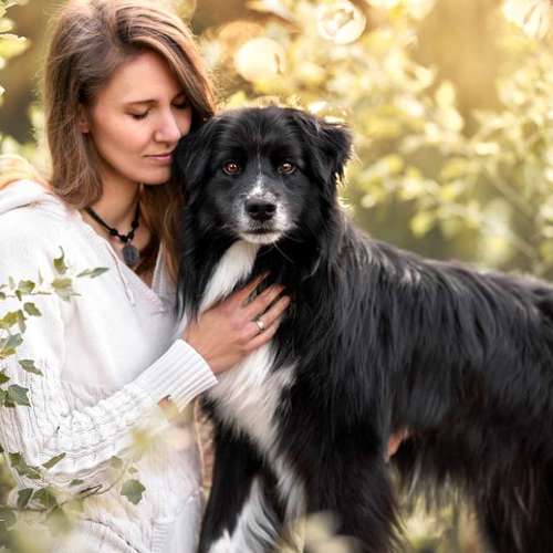 Hundeauslaufgebiet-Charliegraphie Photoart-Bild