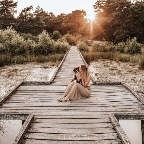 Hundeauslaufgebiet-Charliegraphie Photoart-Bild