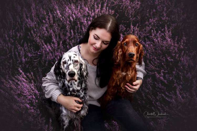 Hundeauslaufgebiet-Charliegraphie Photoart-Bild