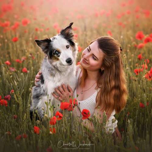 Hundeauslaufgebiet-Charliegraphie Photoart-Bild