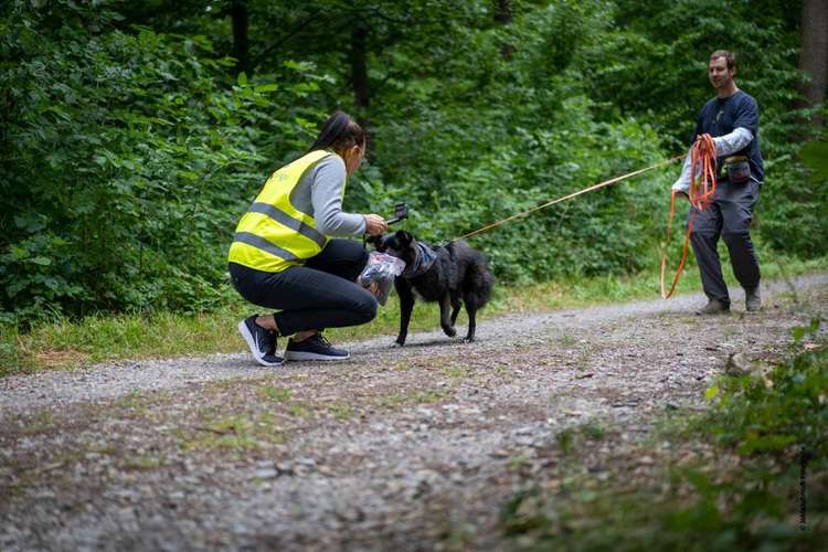 Hundeauslaufgebiet-CaneIntelligo Hundeschule und Verhaltenstherapie Murr-Bild