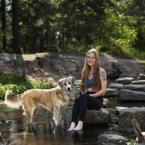 Hundeauslaufgebiet-Fotografie Lichtblicke-Bild