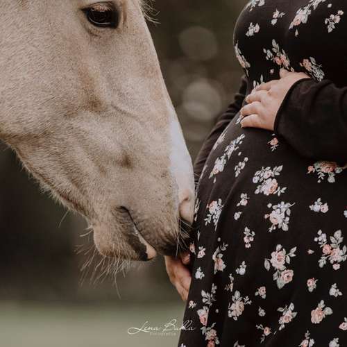 Hundeauslaufgebiet-Lena Buhla Fotografie-Bild