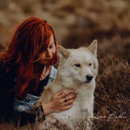 Hundeauslaufgebiet-Lena Buhla Fotografie-Bild