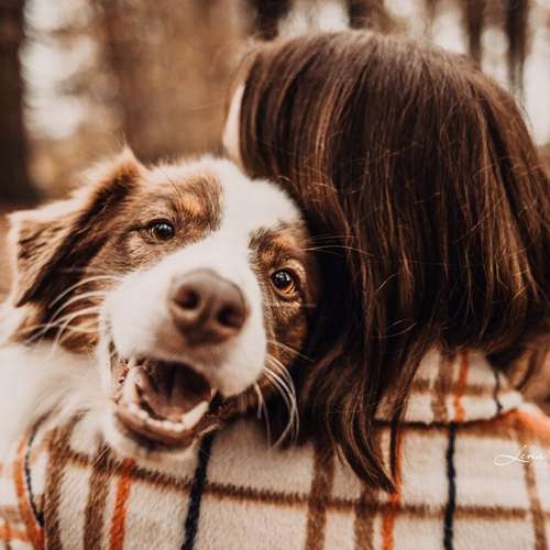Hundeauslaufgebiet-Lena Buhla Fotografie-Bild