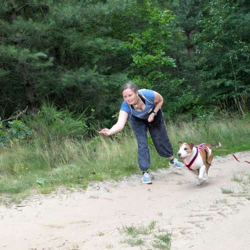 Hundeauslaufgebiet-Hundetraining mea meb-Bild
