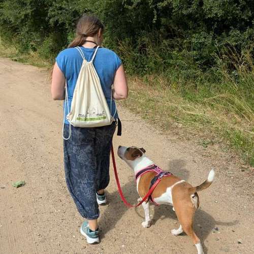 Hundeauslaufgebiet-Hundetraining mea meb-Bild