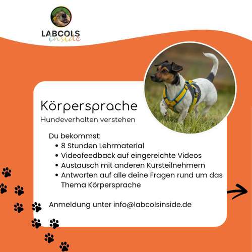 Hundeauslaufgebiet-Labcols inside -Bild