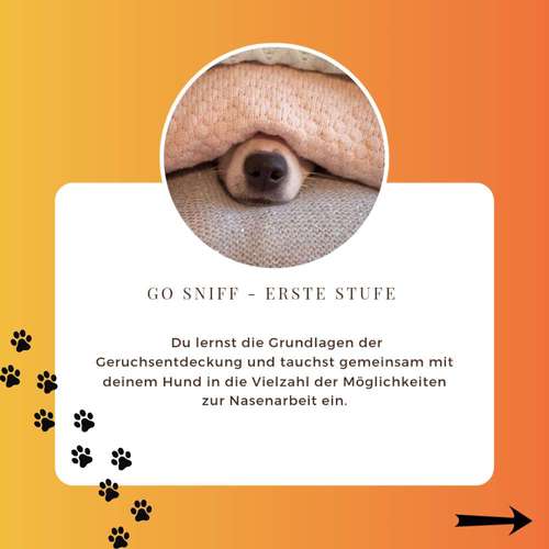 Hundeauslaufgebiet-Labcols inside -Bild