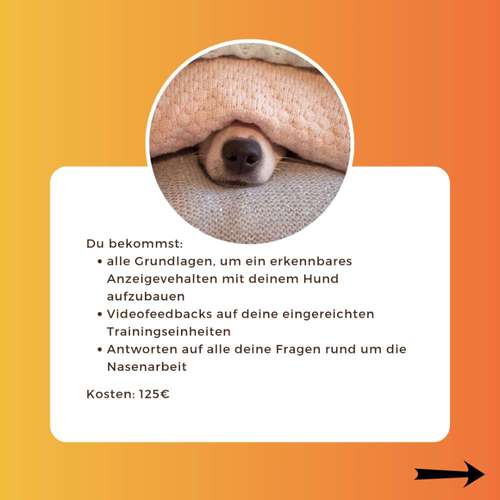 Hundeauslaufgebiet-Labcols inside -Bild