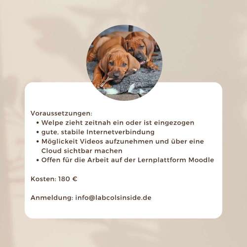 Hundeauslaufgebiet-Labcols inside -Bild