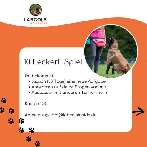 Hundeauslaufgebiet-Labcols inside -Bild