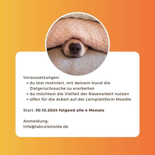 Hundeauslaufgebiet-Labcols inside -Bild