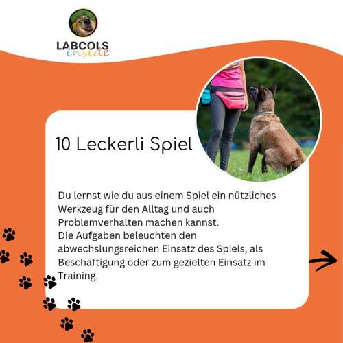 Hundeauslaufgebiet-Labcols inside -Bild