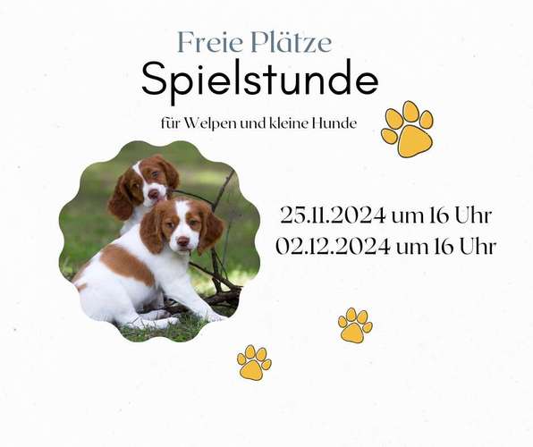 Hundeauslaufgebiet-Labcols inside -Bild