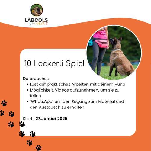 Hundeauslaufgebiet-Labcols inside -Bild