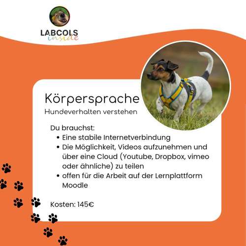 Hundeauslaufgebiet-Labcols inside -Bild