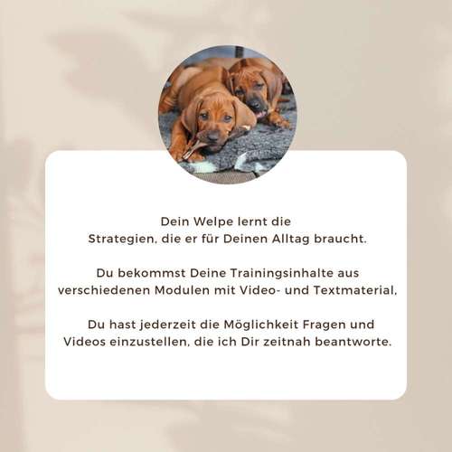 Hundeauslaufgebiet-Labcols inside -Bild