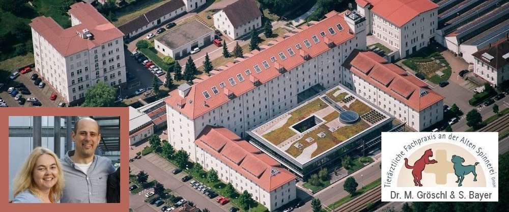 Hundeauslaufgebiet-Tierärztliche Fachpraxis an der Alten Spinnerei-Bild