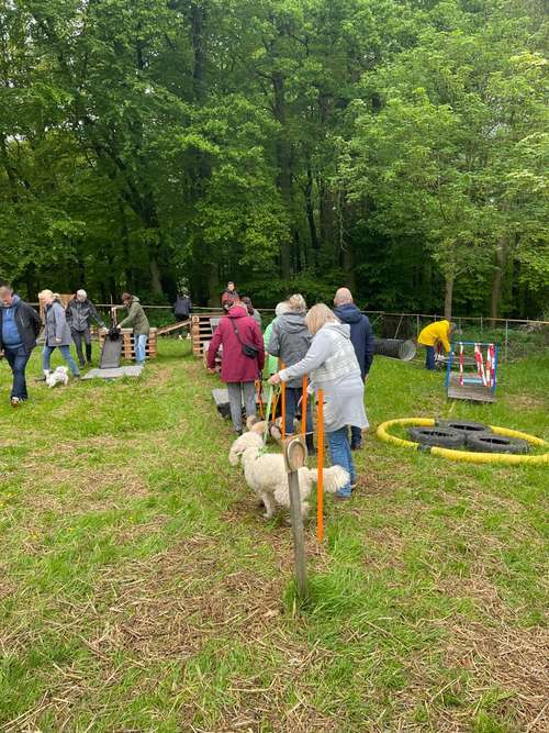 Hundeauslaufgebiet-Hero4Paws-Bild