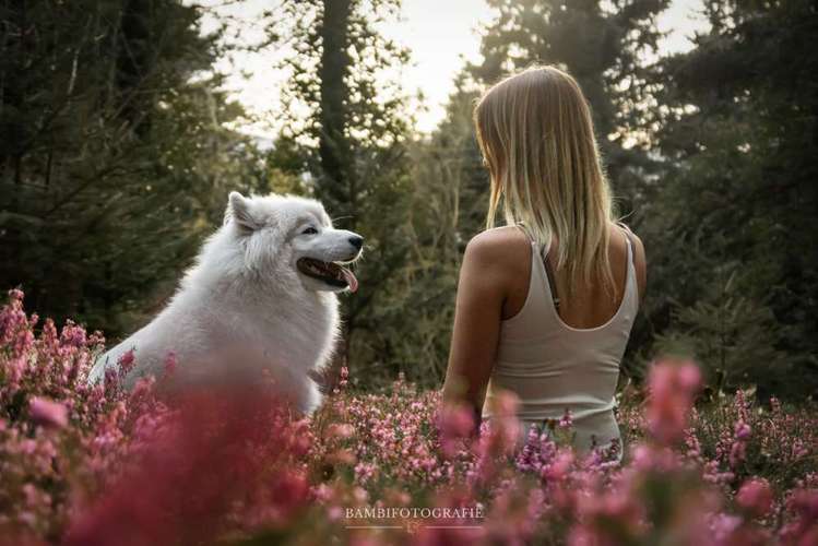 Hundeauslaufgebiet-Bambifotografie-Bild