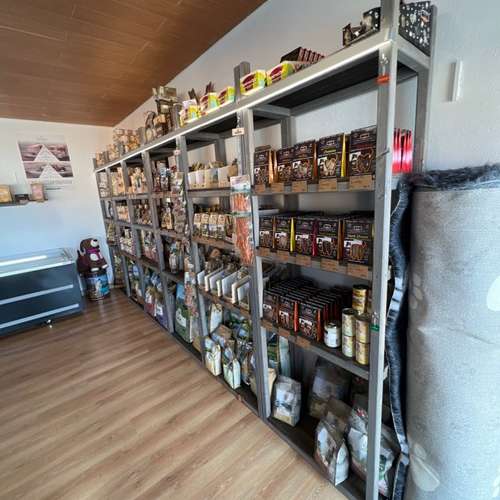 Hundeauslaufgebiet-Rudelheld-Bild