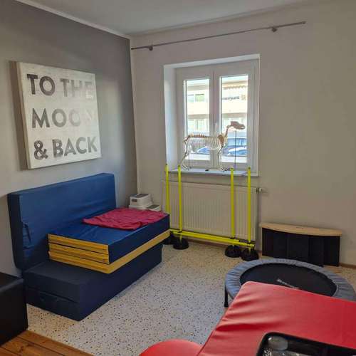 Hundeauslaufgebiet-Hundephysio Laim-Bild