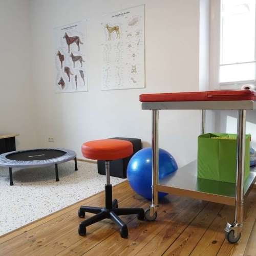 Hundeauslaufgebiet-Hundephysio Laim-Bild