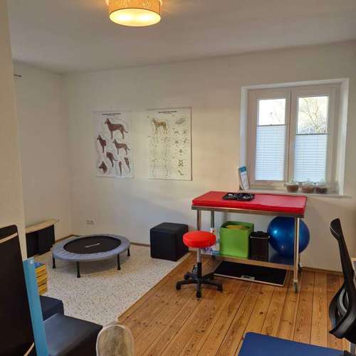 Hundeauslaufgebiet-Hundephysio Laim-Bild