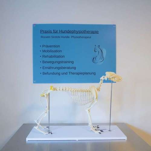 Hundeauslaufgebiet-Hundephysio Laim-Bild