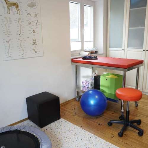 Hundeauslaufgebiet-Hundephysio Laim-Bild