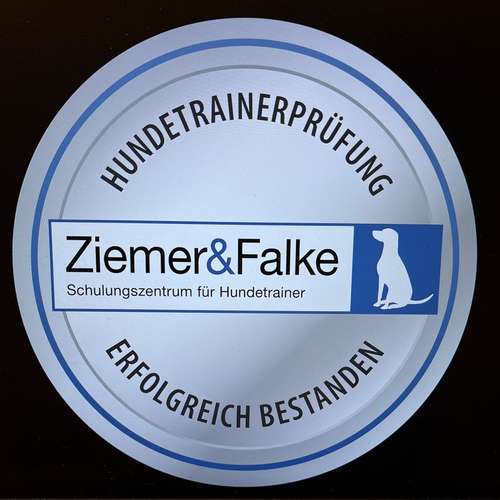 Hundeauslaufgebiet-Fellnase42-Bild