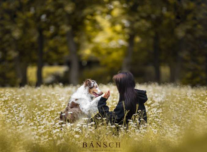 Hundeauslaufgebiet-Bänsch Fotografie-Bild