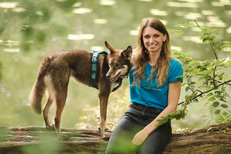 Hundeauslaufgebiet-Hundetraining Schweigert-Gabler-Bild