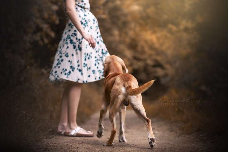 Hundeauslaufgebiet-Olivias Pfotografie-Bild