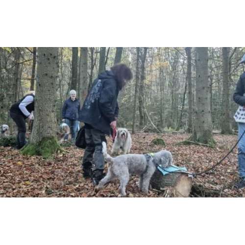 Hundeauslaufgebiet-Christine Kappes - individuelles Hundetraining -Bild