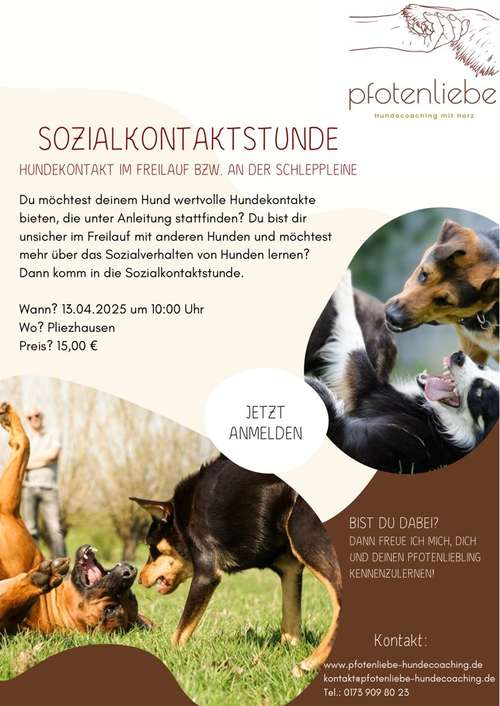 Hundeauslaufgebiet-Pfotenliebe Hundecoaching-Bild