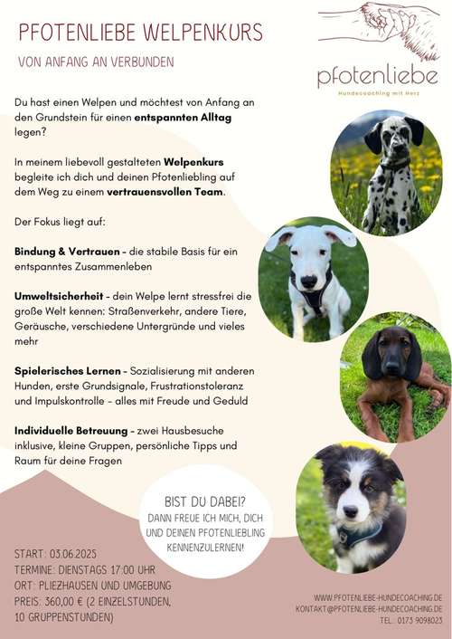 Hundeauslaufgebiet-Pfotenliebe Hundecoaching-Bild