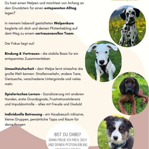 Hundeauslaufgebiet-Pfotenliebe Hundecoaching-Bild