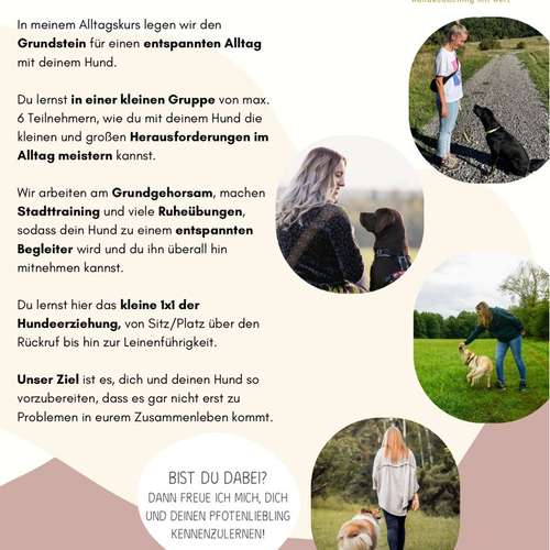 Hundeauslaufgebiet-Pfotenliebe Hundecoaching-Bild