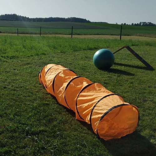 Hundeauslaufgebiet-Hundeschule FFB & Umgebung-Bild