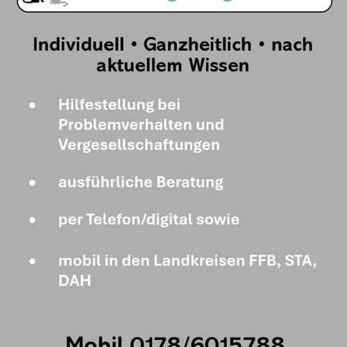 Hundeauslaufgebiet-Hundeschule FFB u. Umgebung-Bild