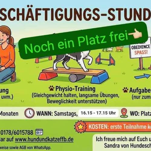 Hundeauslaufgebiet-Hundeschule FFB u. Umgebung-Bild