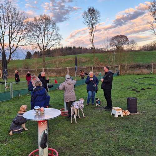Hundeauslaufgebiet-Hundeschule Yvi's Pfotentreff-Bild
