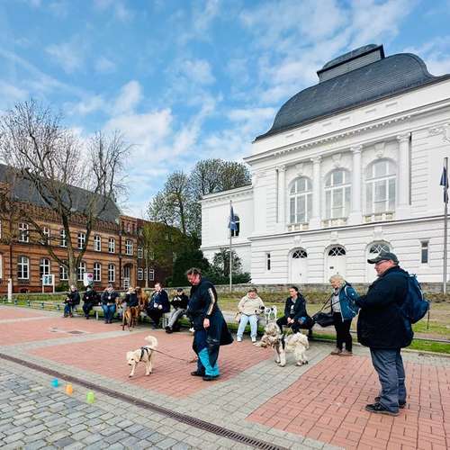 Hundeauslaufgebiet-Hundeschule Yvi's Pfotentreff-Bild