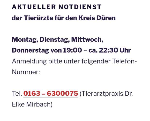 Hundeauslaufgebiet-Dr. Elke Mirbach-Bild