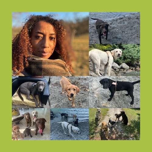 Hundeauslaufgebiet-Reico Vital Systeme - Sabrina Zöller-Bild