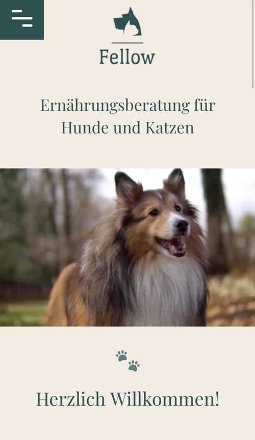 Hundeauslaufgebiet-Fellow-Bild